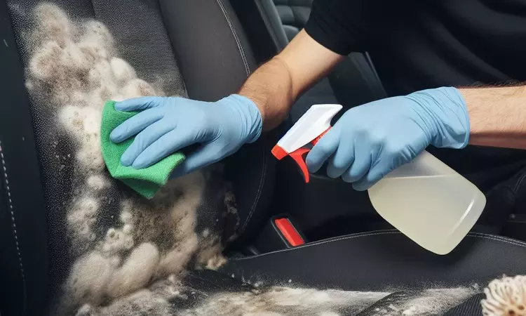 how to clean mold off car seats